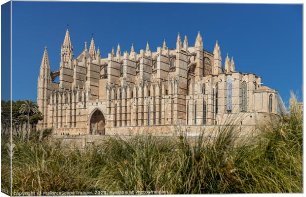 Palma Cathedral La Seu in Palma, Majorca Canvas Print by MallorcaScape Images