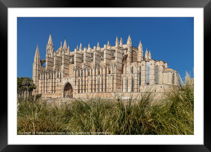 Palma Cathedral La Seu in Palma, Majorca Framed Mounted Print by MallorcaScape Images