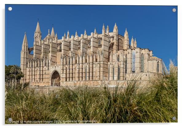 Palma Cathedral La Seu in Palma, Majorca Acrylic by MallorcaScape Images