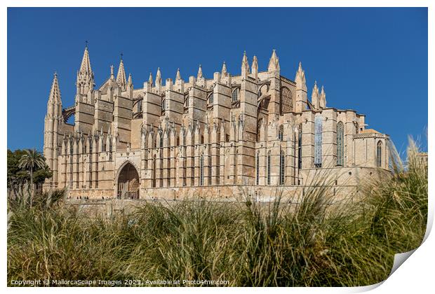 Palma Cathedral La Seu in Palma, Majorca Print by MallorcaScape Images