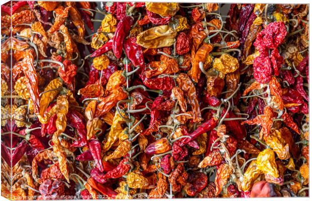 dried chili peppers Canvas Print by MallorcaScape Images