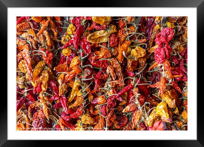 dried chili peppers Framed Mounted Print by MallorcaScape Images