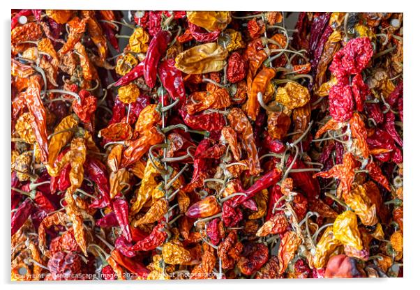dried chili peppers Acrylic by MallorcaScape Images