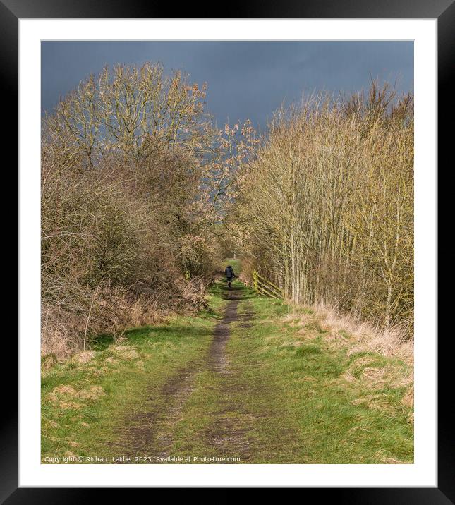 Solitary Dog Walker on the Tees Railway Walk Framed Mounted Print by Richard Laidler