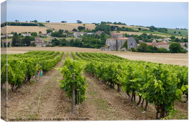 French Abbey in Charente with vineyards Canvas Print by Chris Mann