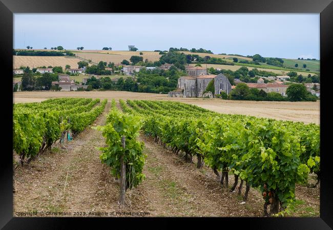 French Abbey in Charente with vineyards Framed Print by Chris Mann