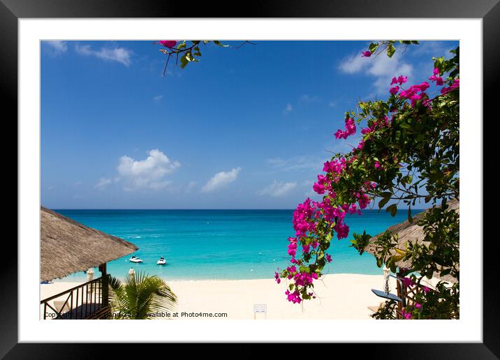 La Samanna beach St. Martin - Sint Maarten Framed Mounted Print by Chris Mann