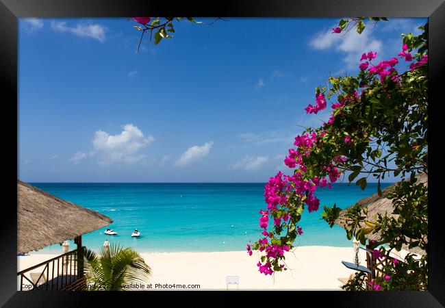 La Samanna beach St. Martin - Sint Maarten Framed Print by Chris Mann