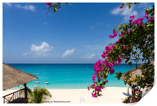 La Samanna beach St. Martin - Sint Maarten Print by Chris Mann