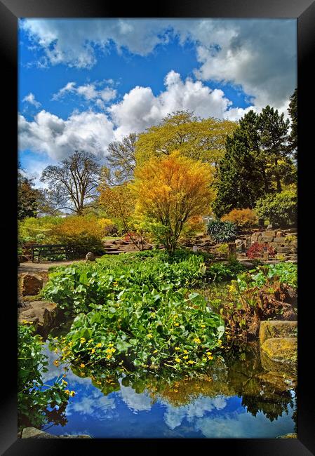 Sheffield Botanical Gardens Framed Print by Darren Galpin