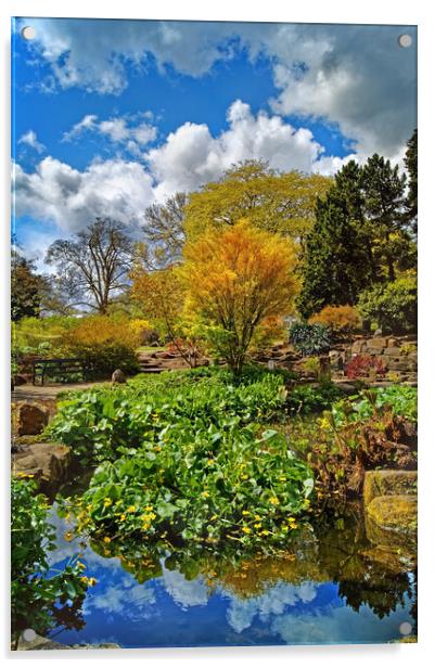 Sheffield Botanical Gardens Acrylic by Darren Galpin