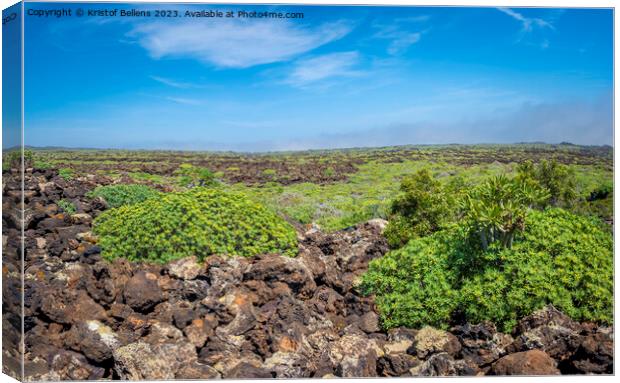 View on the volcanic landscape of northern Lanzarote, one of the Canary Islands of Spain Canvas Print by Kristof Bellens