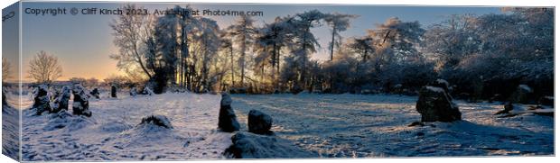 Rollright Stones in Winter Canvas Print by Cliff Kinch