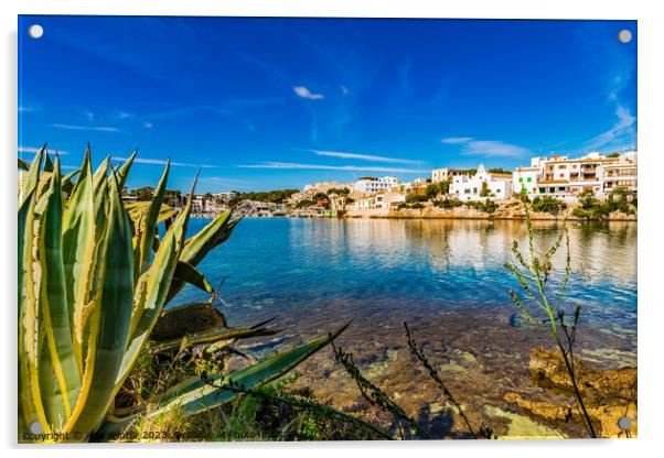 Beautiful coast on Majorca, Portopetro Acrylic by Alex Winter