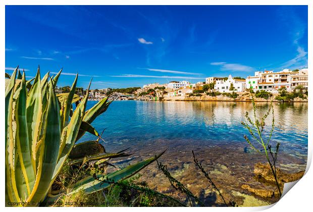 Beautiful coast on Majorca, Portopetro Print by Alex Winter