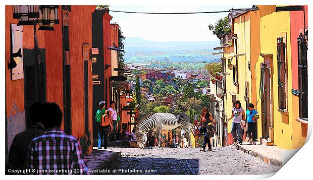 zebra in san miguel Print by john kolenberg