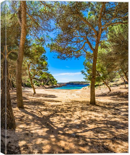 Calo de sa Barca Trencada beach on Mallorca  Canvas Print by Alex Winter