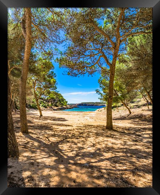Calo de sa Barca Trencada beach on Mallorca  Framed Print by Alex Winter