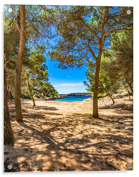 Calo de sa Barca Trencada beach on Mallorca  Acrylic by Alex Winter