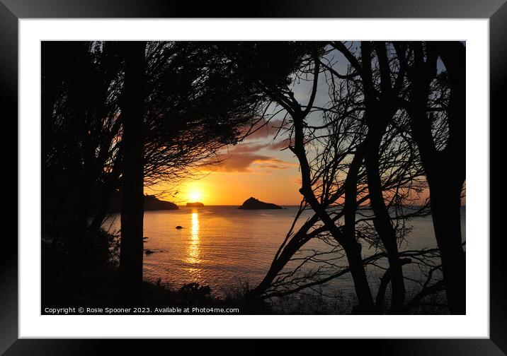 Meadfoot sunrise through the trees Framed Mounted Print by Rosie Spooner