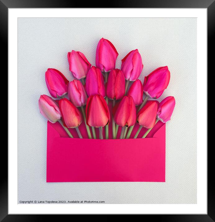  bouquet of  pink and red tulips in an envelope Framed Mounted Print by Lana Topoleva