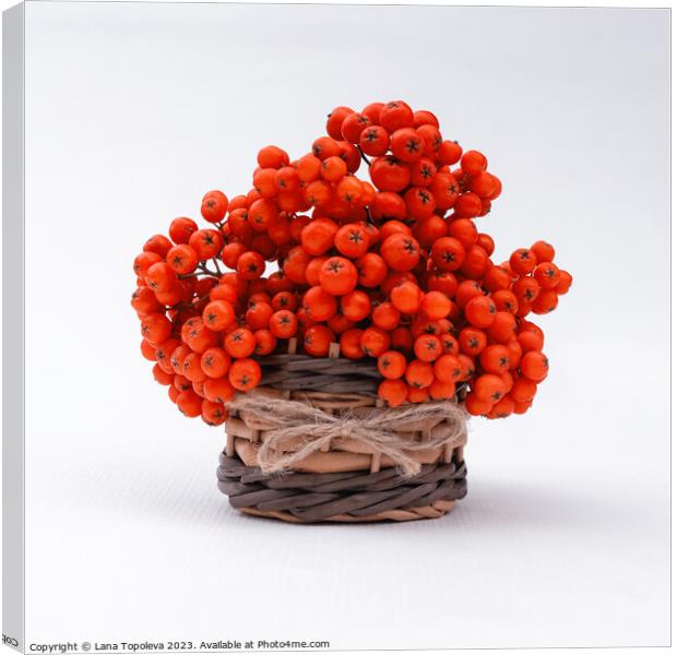  orange juicy berries in a wicker basket  Canvas Print by Lana Topoleva