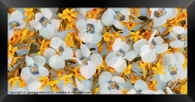  spring floral background  Framed Print by Lana Topoleva