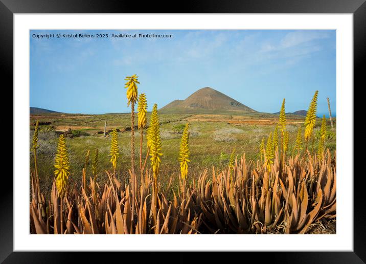 Springtime on Lanzarote, with volcanic landscape view on mount Guenia and Agave flowers in the foreground. Framed Mounted Print by Kristof Bellens
