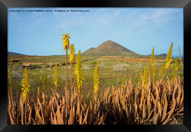 Springtime on Lanzarote, with volcanic landscape view on mount Guenia and Agave flowers in the foreground. Framed Print by Kristof Bellens