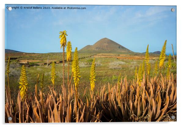 Springtime on Lanzarote, with volcanic landscape view on mount Guenia and Agave flowers in the foreground. Acrylic by Kristof Bellens