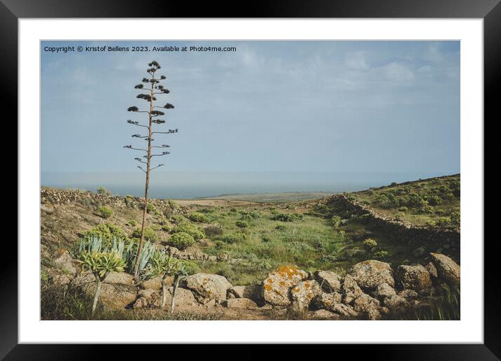 Canary Island of Lanzarote springtime nature landscape Framed Mounted Print by Kristof Bellens