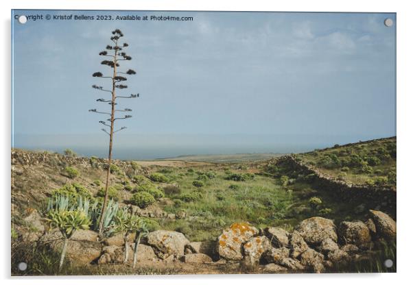 Canary Island of Lanzarote springtime nature landscape Acrylic by Kristof Bellens