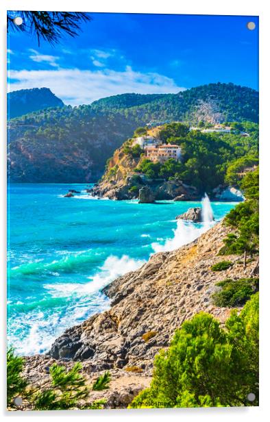Beautiful island scener of Camp de Mar Acrylic by Alex Winter