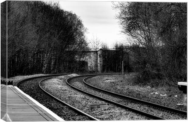 Follow the Tracks Canvas Print by Glen Allen