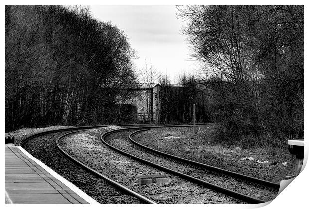 Follow the Tracks Print by Glen Allen
