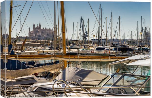 Cathedral La Seu and marina harbour of Palma Canvas Print by Alex Winter