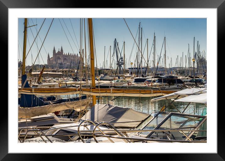 Cathedral La Seu and marina harbour of Palma Framed Mounted Print by Alex Winter