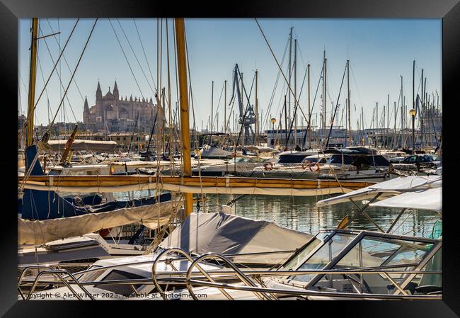 Cathedral La Seu and marina harbour of Palma Framed Print by Alex Winter