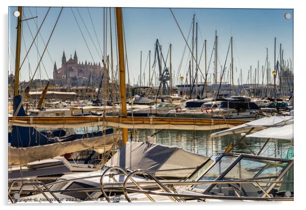 Cathedral La Seu and marina harbour of Palma Acrylic by Alex Winter