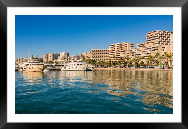 Palma mallorca harbour  Framed Mounted Print by Alex Winter