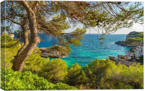 Beautiful coast view on Mallorca Canvas Print by Alex Winter