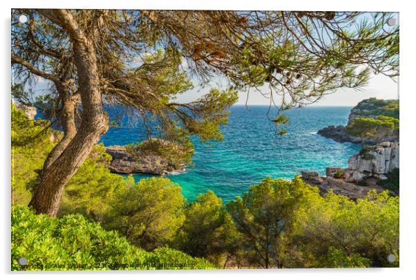 Beautiful coast view on Mallorca Acrylic by Alex Winter