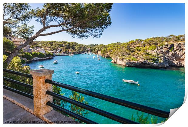 Bay harbor of Cala Figuera Print by Alex Winter