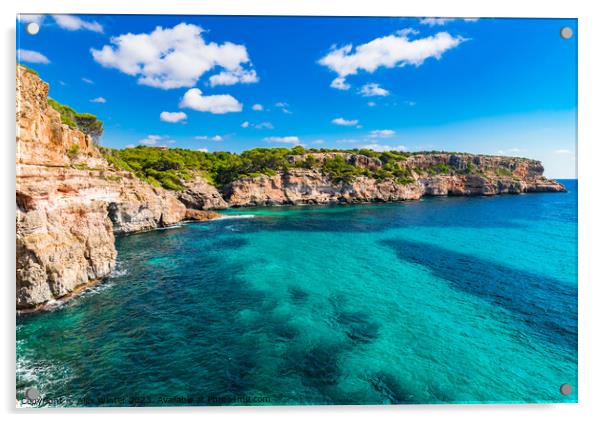 Rocky coast cliffs of Majorca Acrylic by Alex Winter