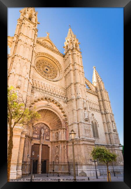 Cathedral La Seu in Palma de Mallorca Framed Print by Alex Winter