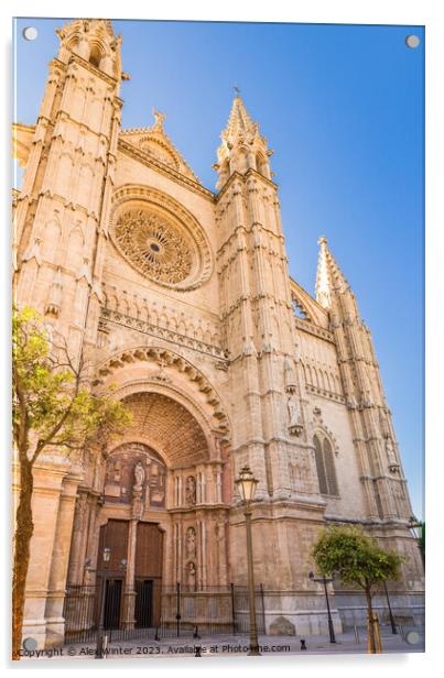 Cathedral La Seu in Palma de Mallorca Acrylic by Alex Winter