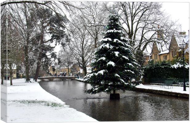 Bourton on the Water Christmas Tree Cotswolds Canvas Print by Andy Evans Photos