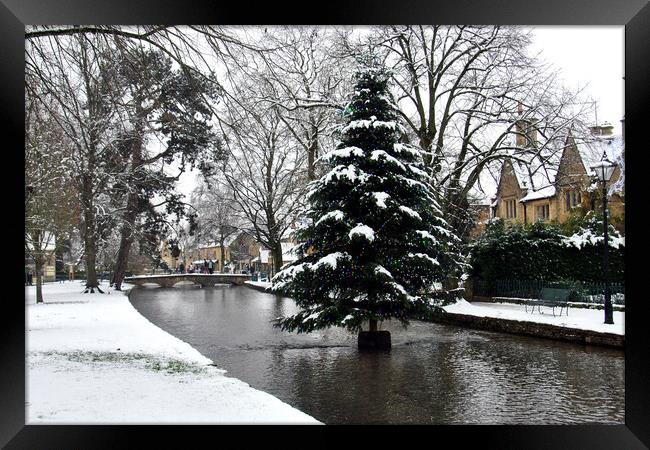 Bourton on the Water Christmas Tree Cotswolds Framed Print by Andy Evans Photos