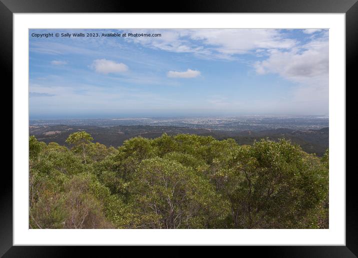 Adelaide from Mount Lofty Framed Mounted Print by Sally Wallis