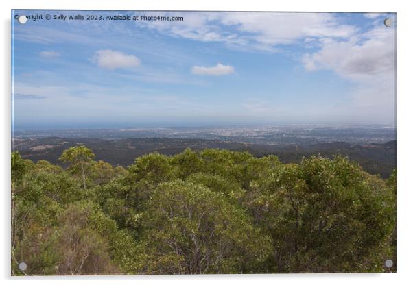 Adelaide from Mount Lofty Acrylic by Sally Wallis